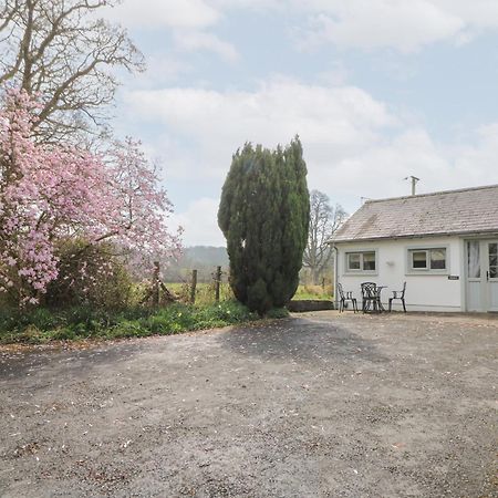 Dinefwr Cottage Carmarthen Exteriér fotografie