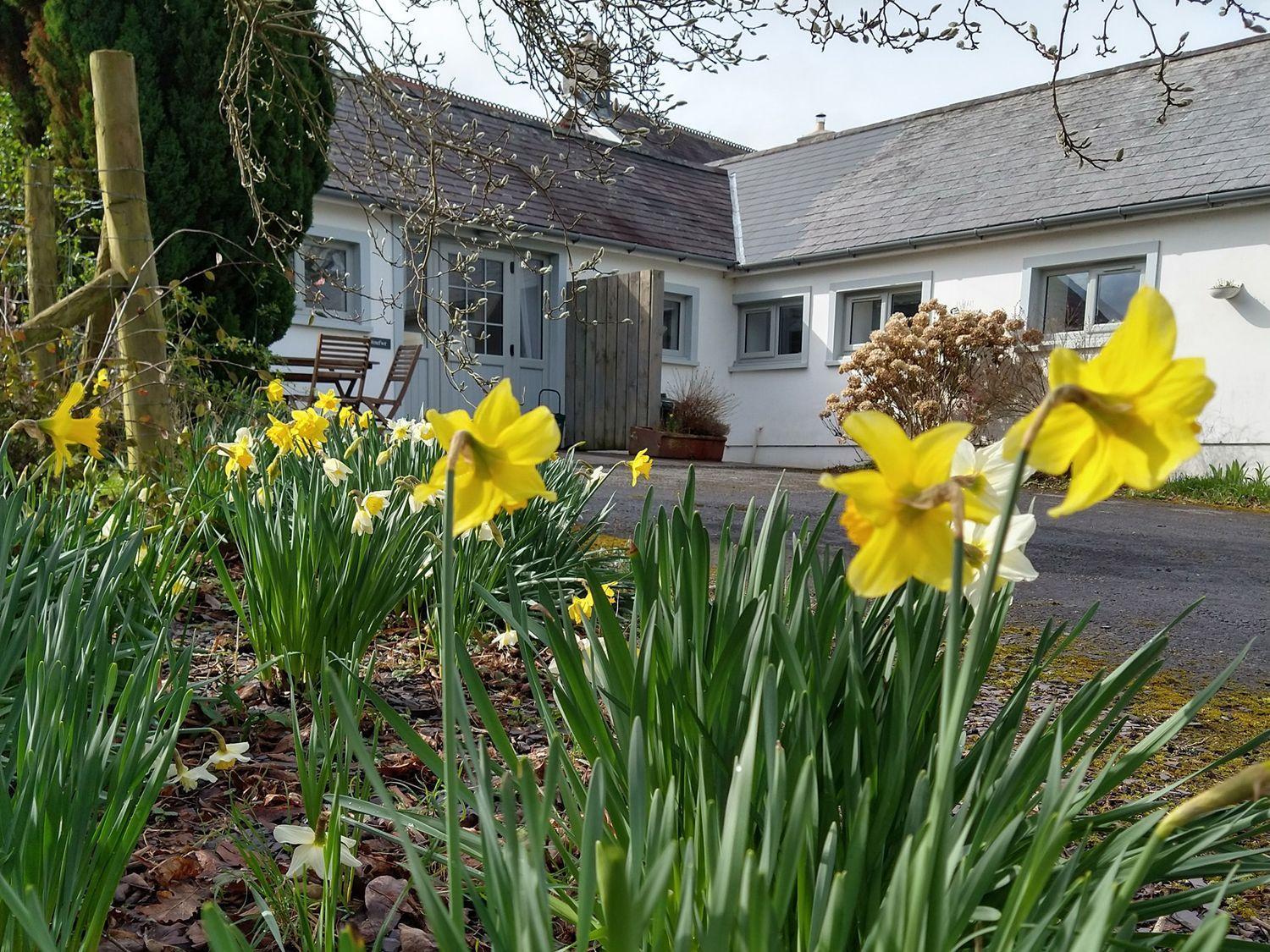 Dinefwr Cottage Carmarthen Exteriér fotografie