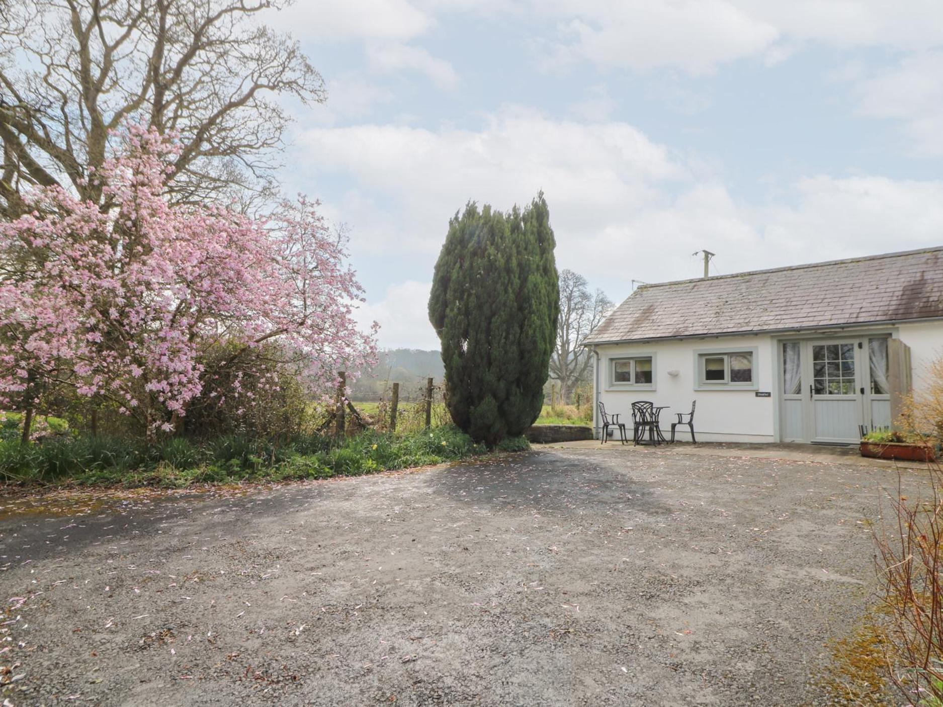 Dinefwr Cottage Carmarthen Exteriér fotografie